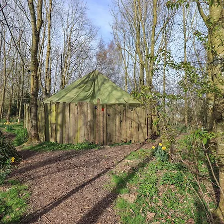 Tatil Evi Bramble The Retro Caravan Penrith